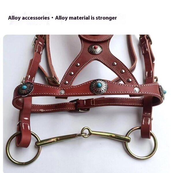 Horse Halter Pure Cowhide Equipment Dragon Cover Metal Buckle Elegant - Image 5