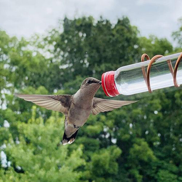 Garden Bird Feeder Supplies Hummingbird Feeder Drinker Suction Cup Easy To Clean Deck Garden Decor Bird Feeders for Wild Birds - Image 3