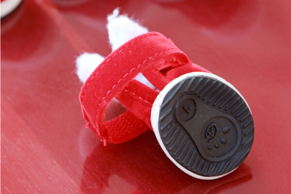 Pet christmas shoes - Image 3