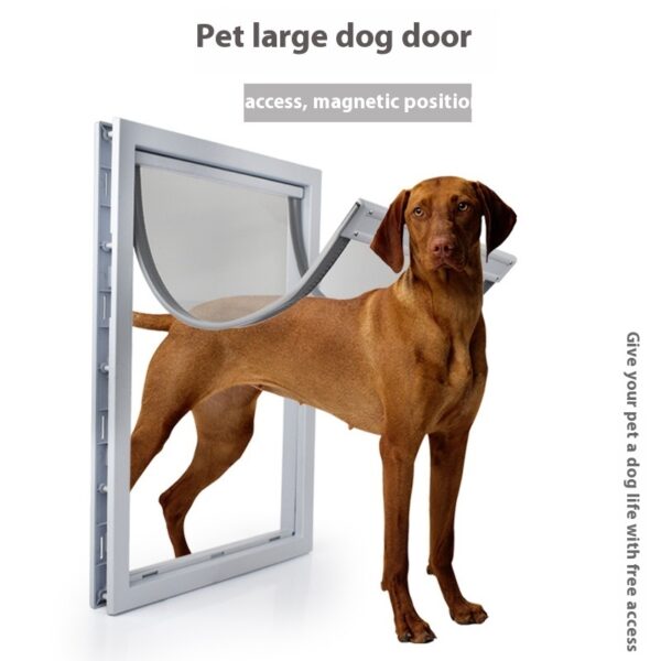 Pet Dog Door Entry And Exit Magnet Positioning