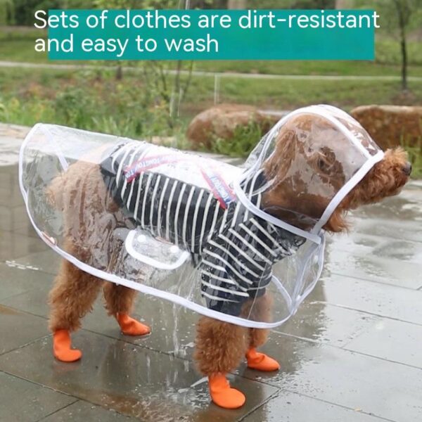 Pet Raincoat Dog Small Dog - Image 4