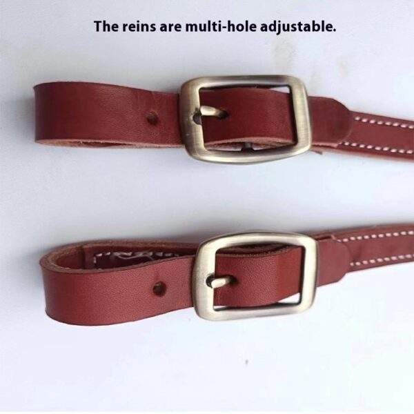 Horse Halter Pure Cowhide Equipment Dragon Cover Metal Buckle Elegant - Image 2
