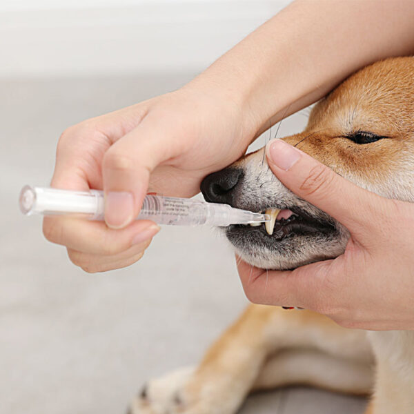 Pet Teeth Repairing Kit For Dog Cat Teeth Cleaning Pen Kit - Image 7