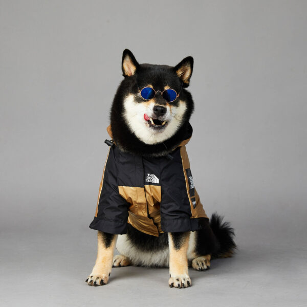 Dog Large Dog Raincoat Pet Jacket - Image 4