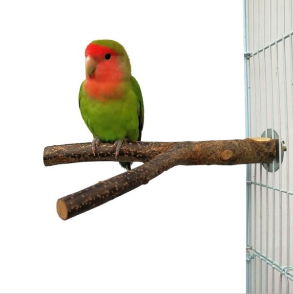 Bird Standing Frame Rattan Ring Chewing Toy Bird Cage - Image 6